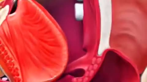 Constant Sore Throats Here’s Why Doctors Remove Tonsils in Minutes!