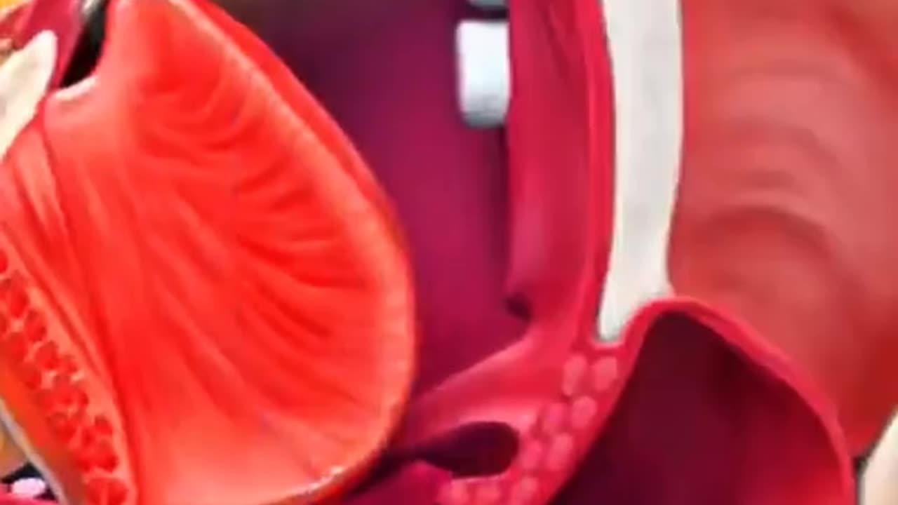 Constant Sore Throats Here’s Why Doctors Remove Tonsils in Minutes!