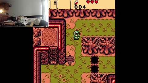 The Legend of the ZZZZZZEEEEELLLLDDDAAAAHHHHHHH THE Underage Oral (THE Colored (Game) Boy)