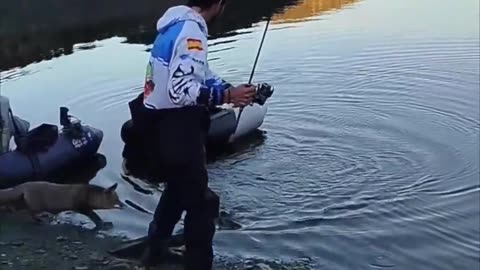🤣🐾 It’s Mine Now! Watch This Pet Claim Its Prize | FunFM