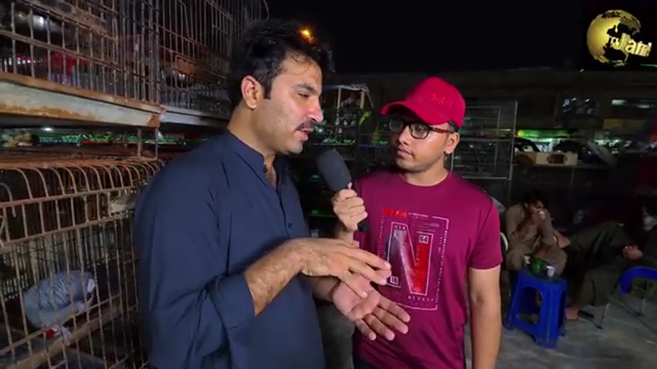 Saddar birds market karachi