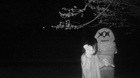 (᨟ ͜● ᨟) Trail Cam Clowns