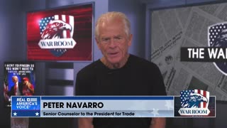 Navarro: The Coldest Winter I Ever Spent Was A Summer In A Miami Prison