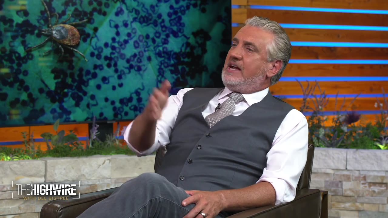 The HighWire with Del Bigtree - TIMBERLAKE, TICKS, AND THE TRUTH ABOUT LYME