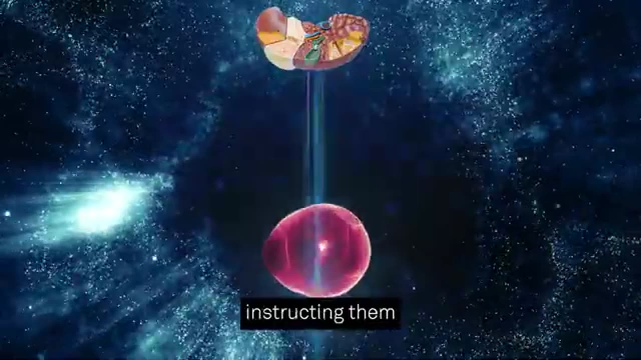 HepatoBurn: Does This Liver Detox Supplement Really Help You Lose Weight