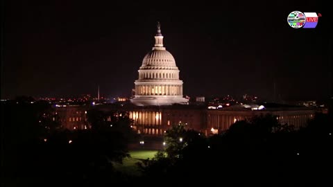 TWO CATS U.S. POLITICAL NEWS