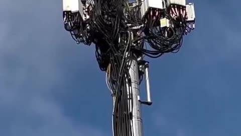 HOW MANY CABLES!?! - Reloaded from Julian Assange