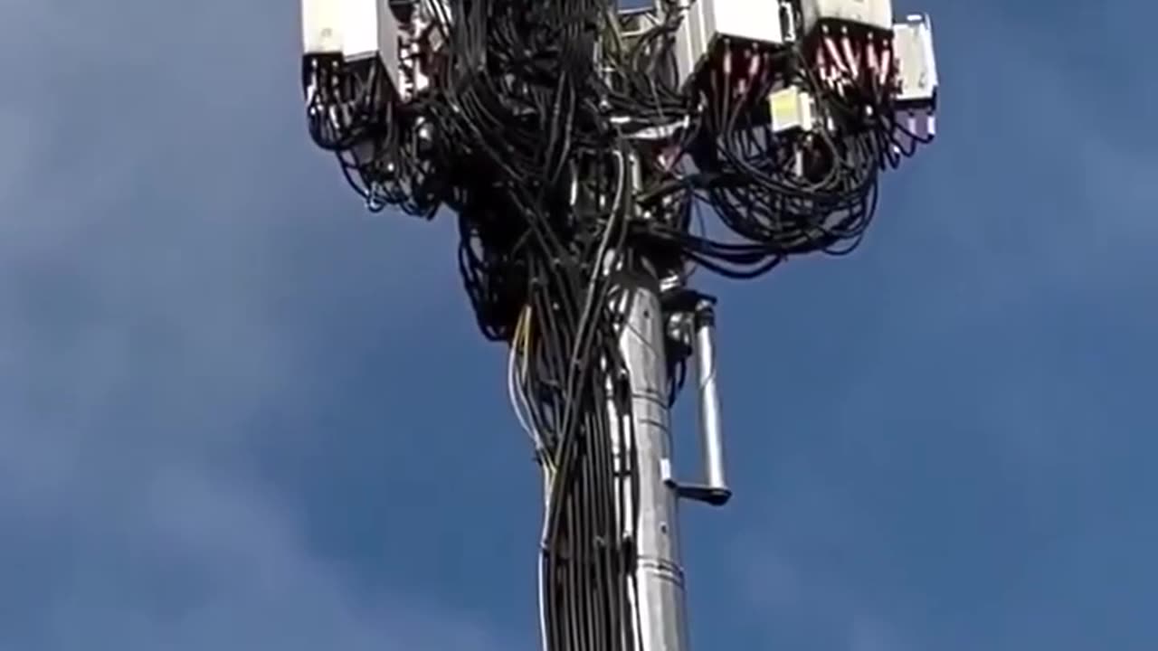 HOW MANY CABLES!?! - Reloaded from Julian Assange