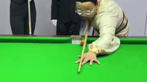 funny videos