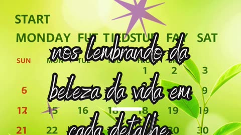 "O Segredo de Uma Segunda-feira Produtiva"