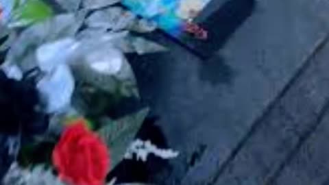 FAMOUS GRAVES - VOL. 488: LIL SNUPE