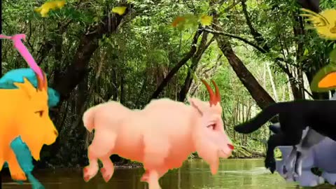 FUNNIEST Pets ! 🤣 TOP Videos of the YEAR