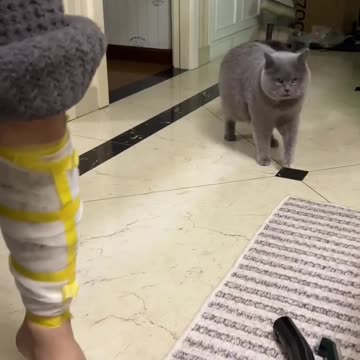 When your pet feels your pain 😊