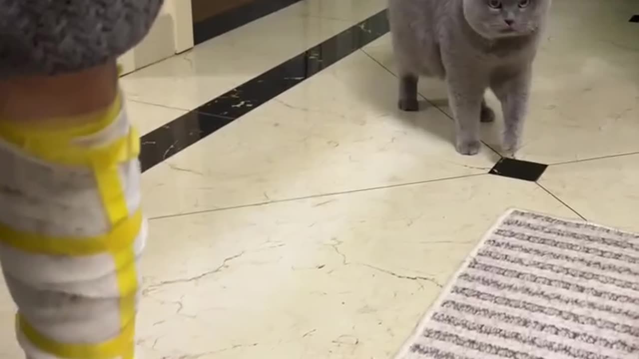 When your pet feels your pain 😊