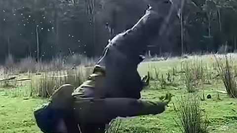 Real Life VS AI