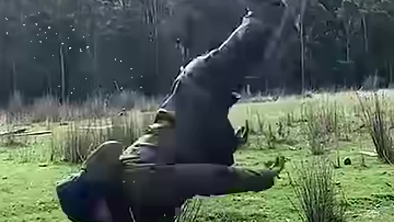 Real Life VS AI