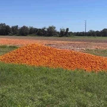 Why the FOOD is so EXPENSIVE in USA?