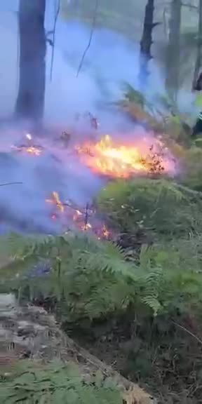 Vijon prej pesë ditësh zjarri në Malin e Dukatit në Orikum