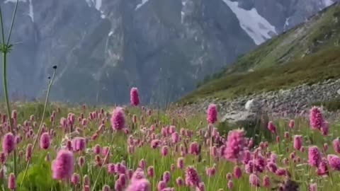 Beauty of Nature