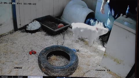 Becky and Morgana helping to clean their room PT 3