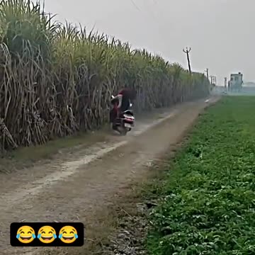 SPECIAL FUNNY COMEDY MOMENT VIDEO
