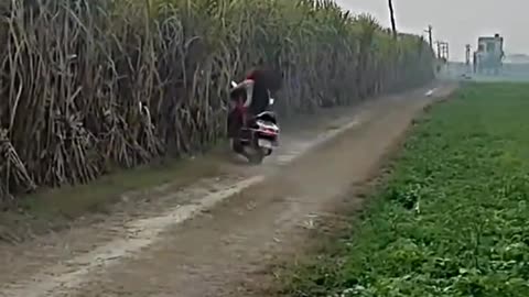 SPECIAL FUNNY COMEDY MOMENT VIDEO