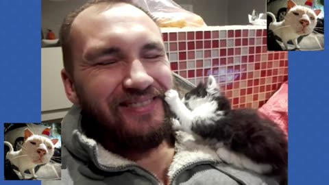 30 Minutes of the Worlds CUTEST Kittens!