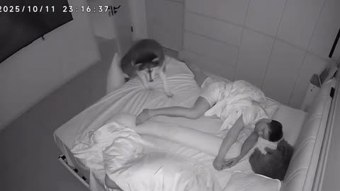 Checking the camera and seeing the boss dragging the pillow and lying next to her husband.. 🤣🤣