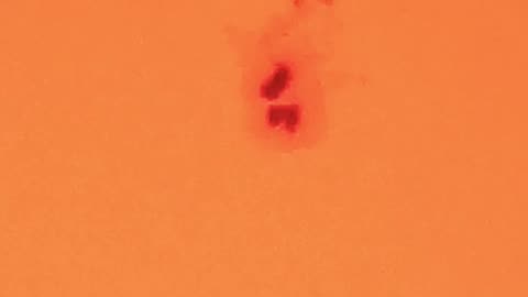 Hoy saqué estas imagenes a la Gran Mancha Solar AR4079