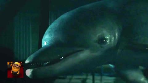 The Boys - The Deep Saves a Dolphin (S1E4) _ Movieclips