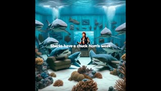 111325 Funny Laugh Out Loud Hilarious Memes Jokes Cartoons