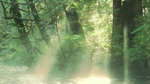 canal de musicas boas completo.mp4