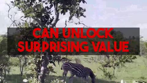 Affordable South Africa for Solo Travelers Managing IBD Needs