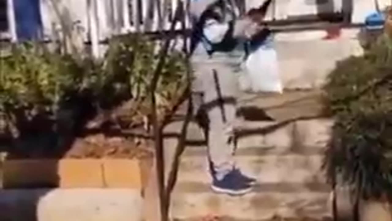 I’d love to hear some thoughts on this db…..