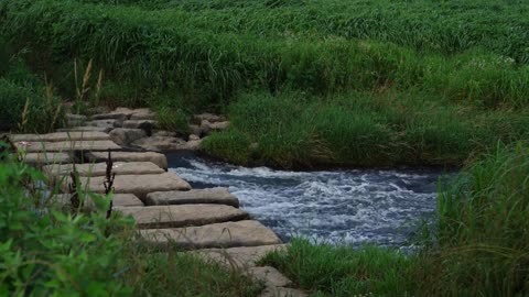 🌿 Babbling Brook Sounds | Relaxing Water Ambience for Sleep, Meditation & Relaxation 💧