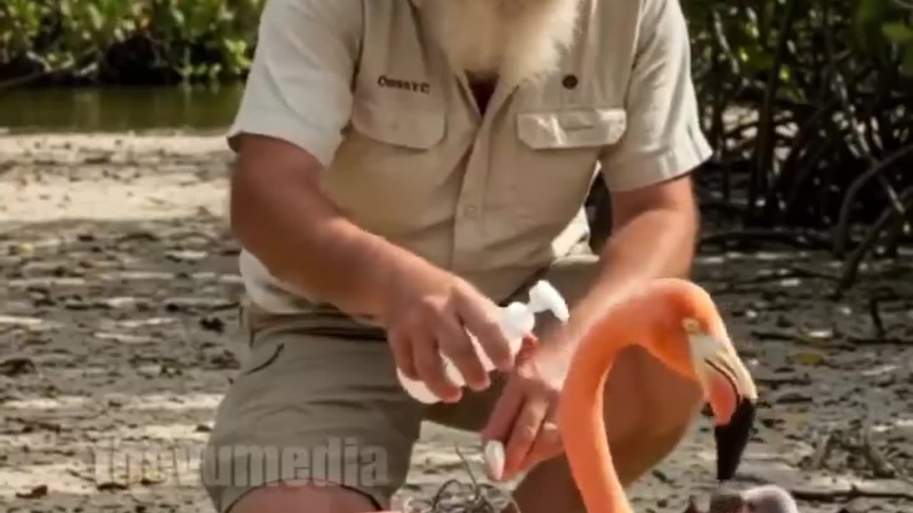 A stranger helped, fed, and Then… they flew