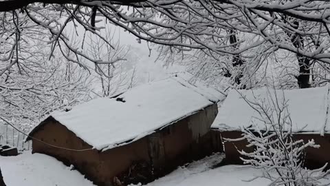 I Survived 71°C in a Snow Village Off Grid Life & Blizzard Survival