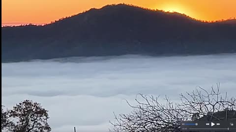 World on *Alert* as High Speed Solar Storm Takes AIM!