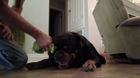 Bad boy, Good boy