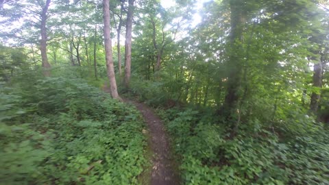 Fast Hike