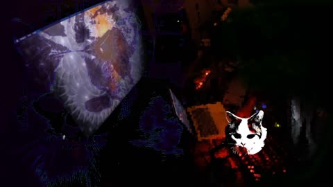 blackeyedkat NOV 2022 DJ mix FulVID