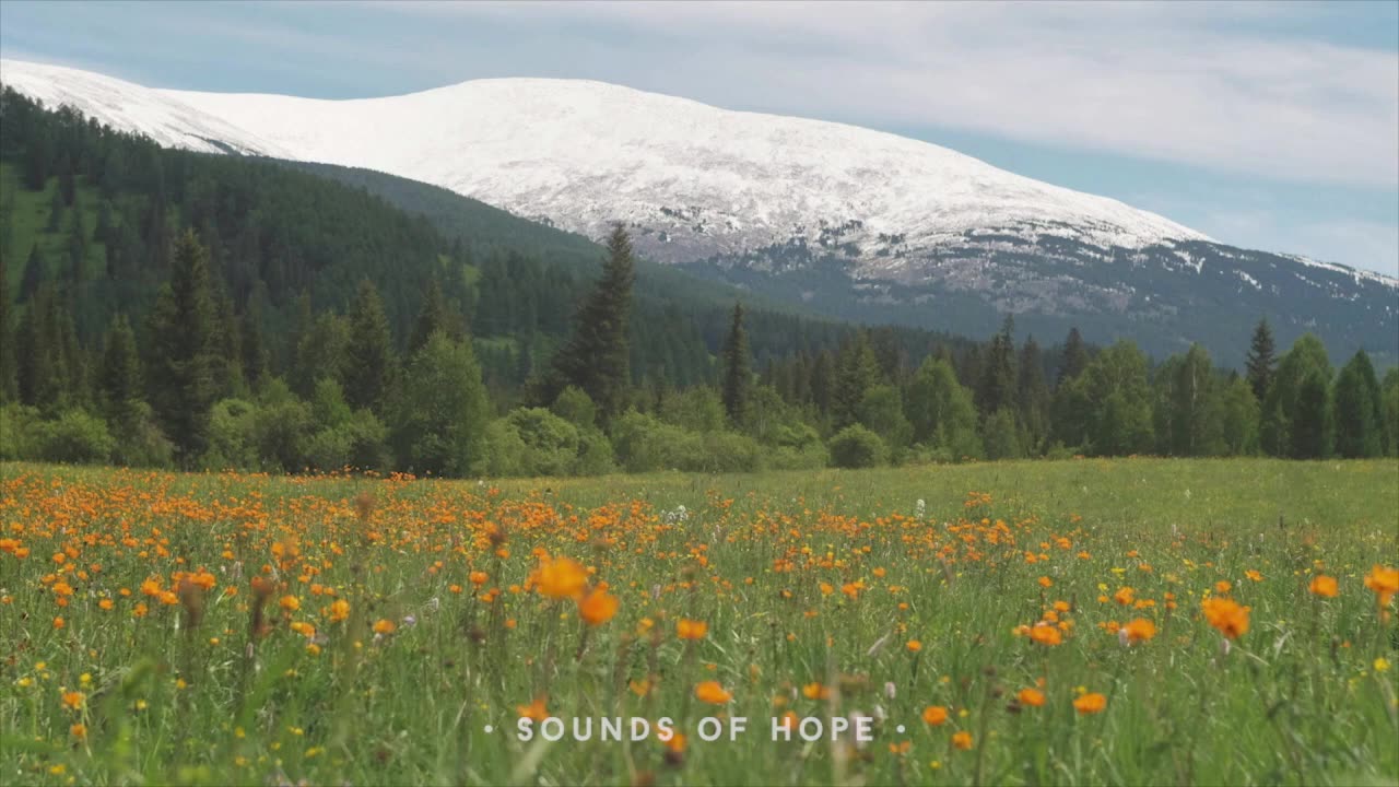 Memorial for Barbara E. Jones at Calvary Chapel Devine