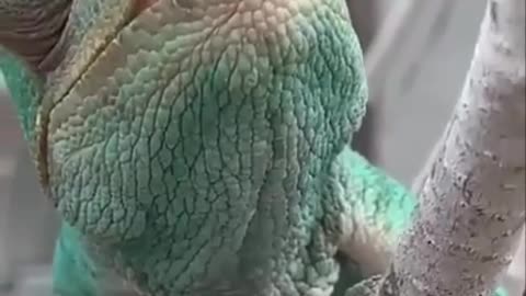 Hi there how you doing