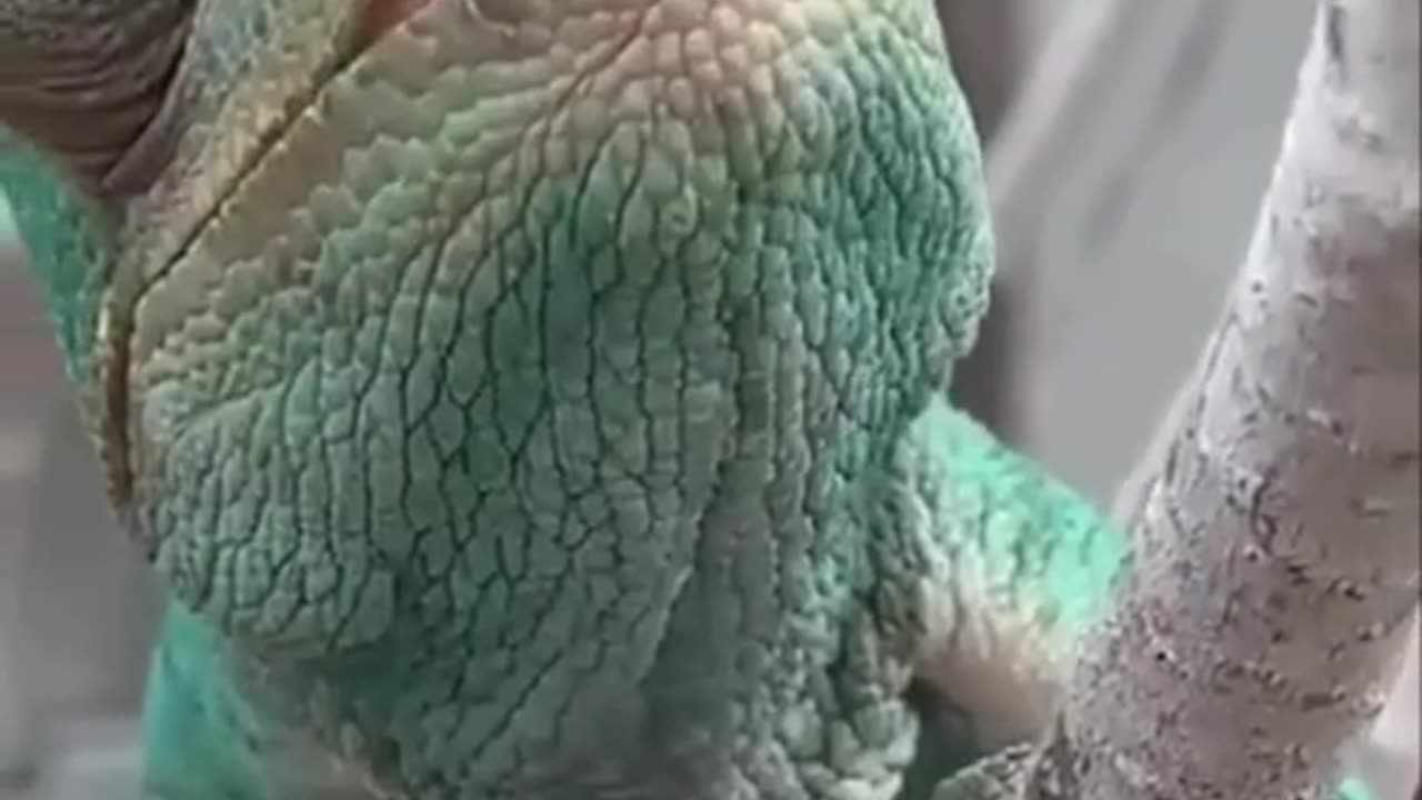 Hi there how you doing