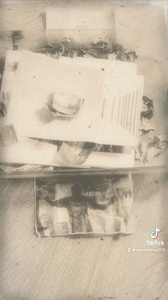 Tim Rifat TikTok Videos