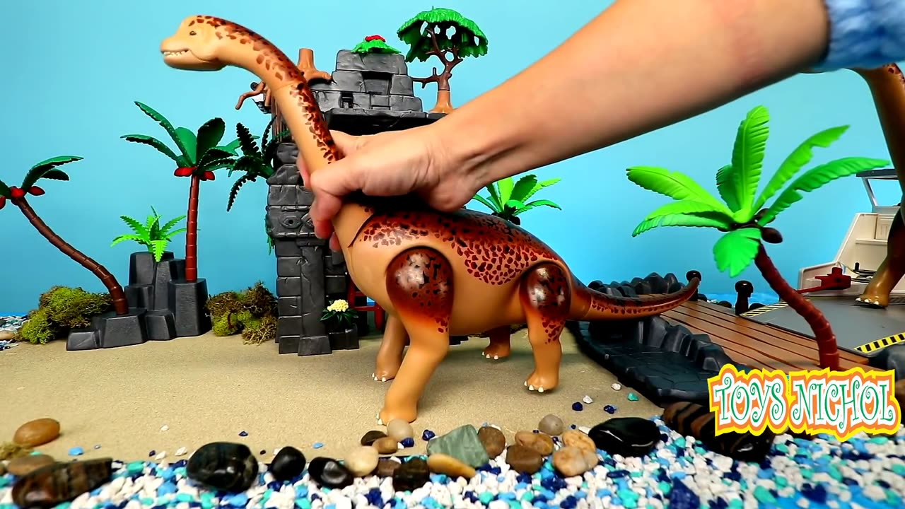 Arranging Sand at Beach House and Planting Coconut Trees