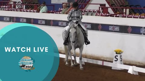 2025 WDAA Western Dressage World Championship Show - Watch Live
