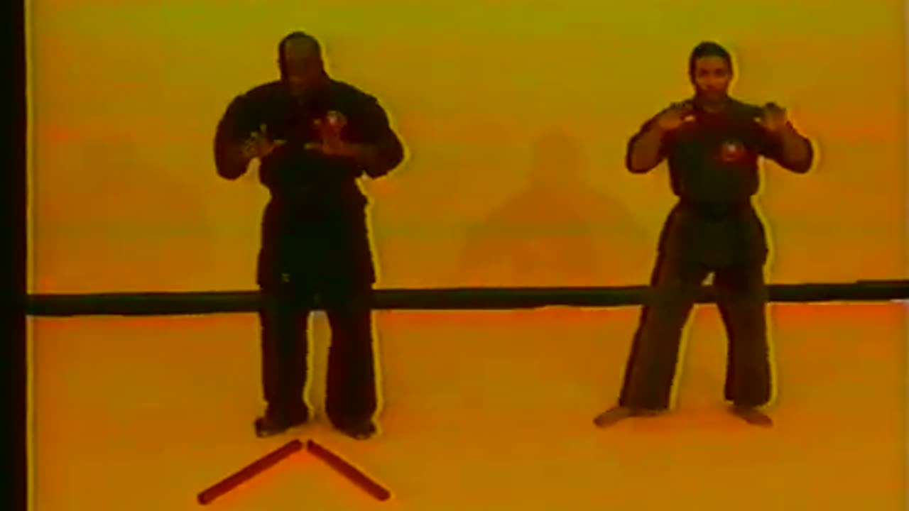 Sanuces Ryu JiuJitsu