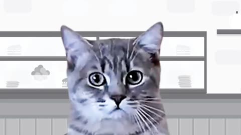 Funny Cat Short Video