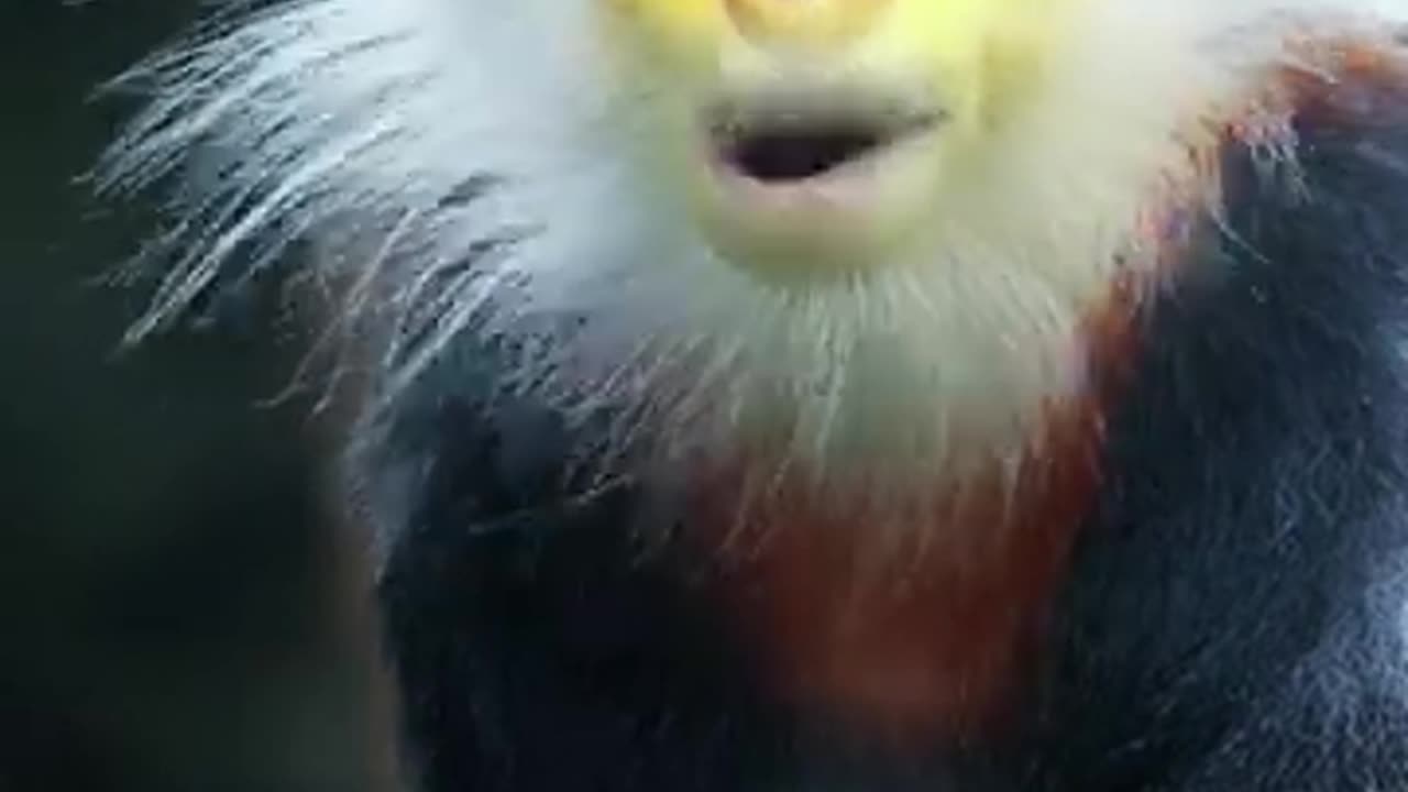 world's most unusual and fascinating animals